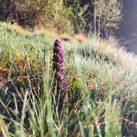 img_2012-standard.jpg