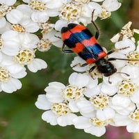 img_9205-standard-y1q6s3.jpg