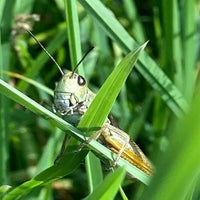 img_9207-standard-1biub0.jpg
