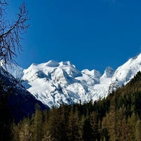 img_9811-standard-mxqol1.jpg