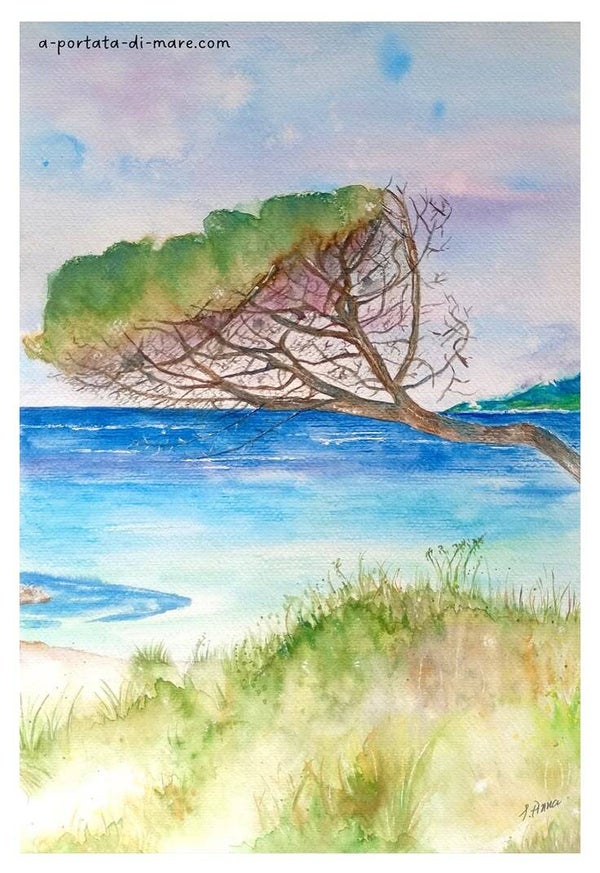 "Ritorno a casa" - Stampa fine art