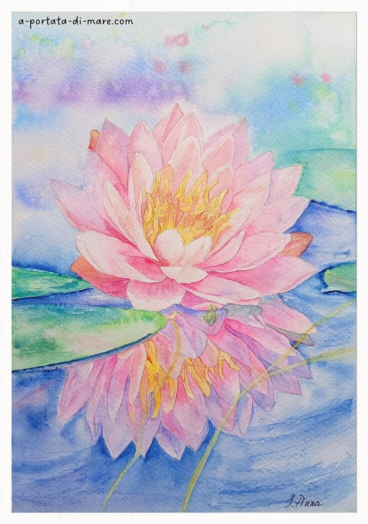 Riflessi di Loto - Stampa fine art