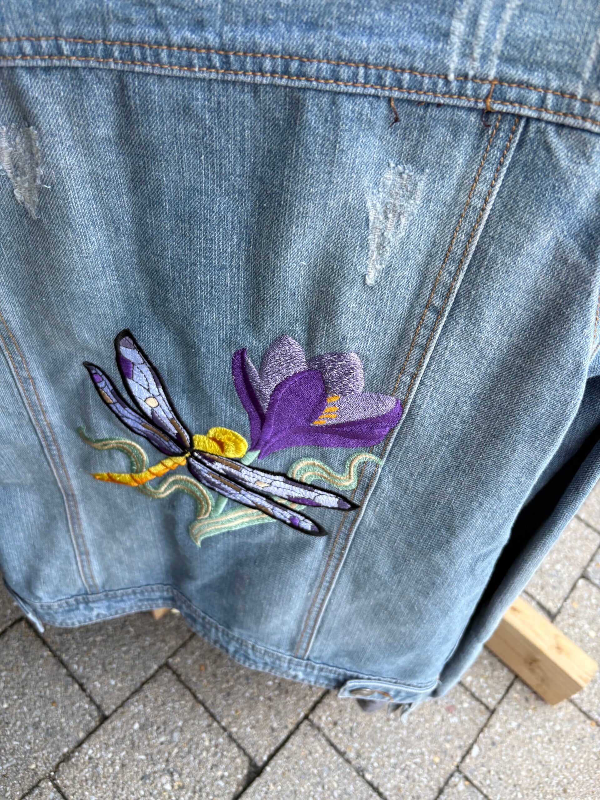 dragonfly-and-crocus
