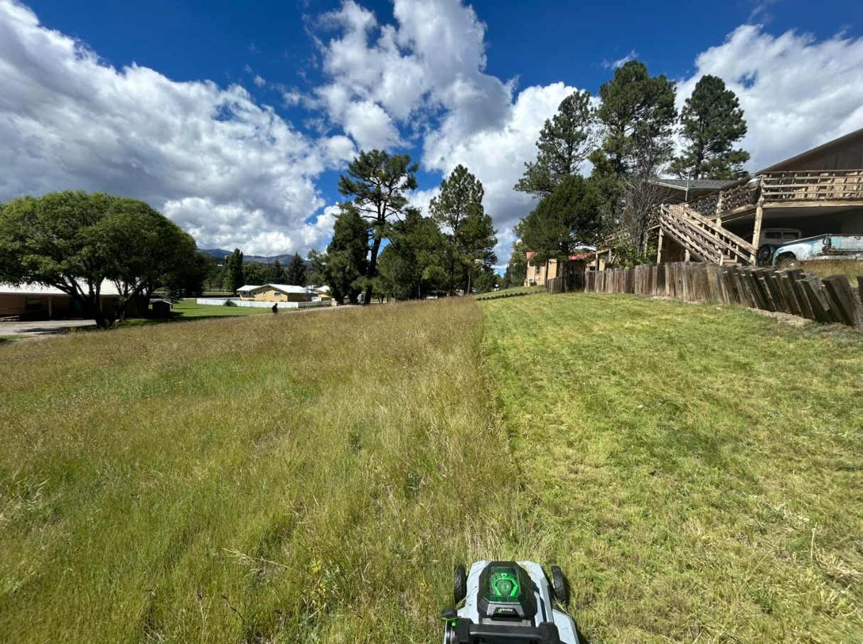 lawn-mower-pic-standard-drvlte.png