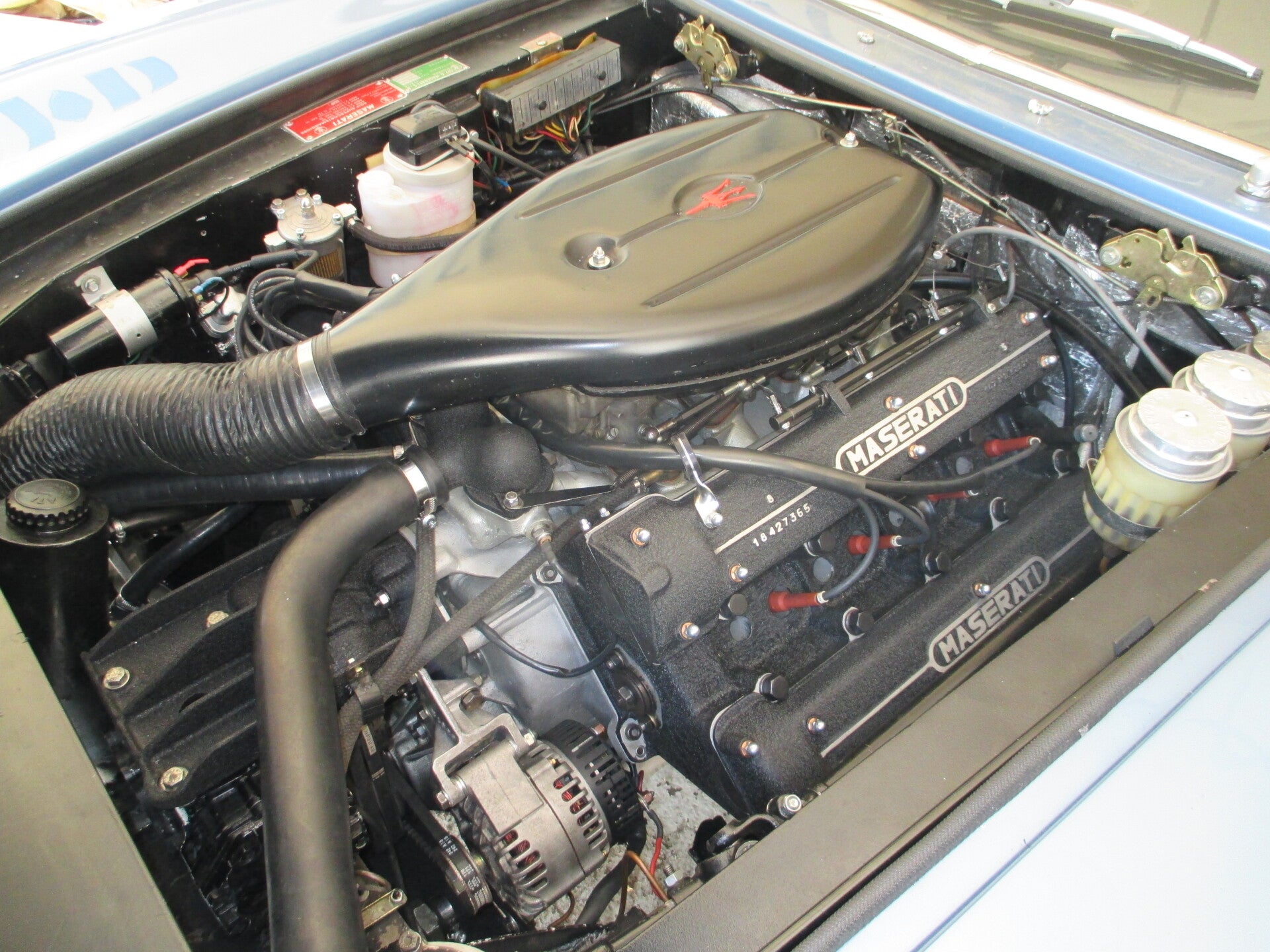 img_0337-standard-mtz53f.jpg