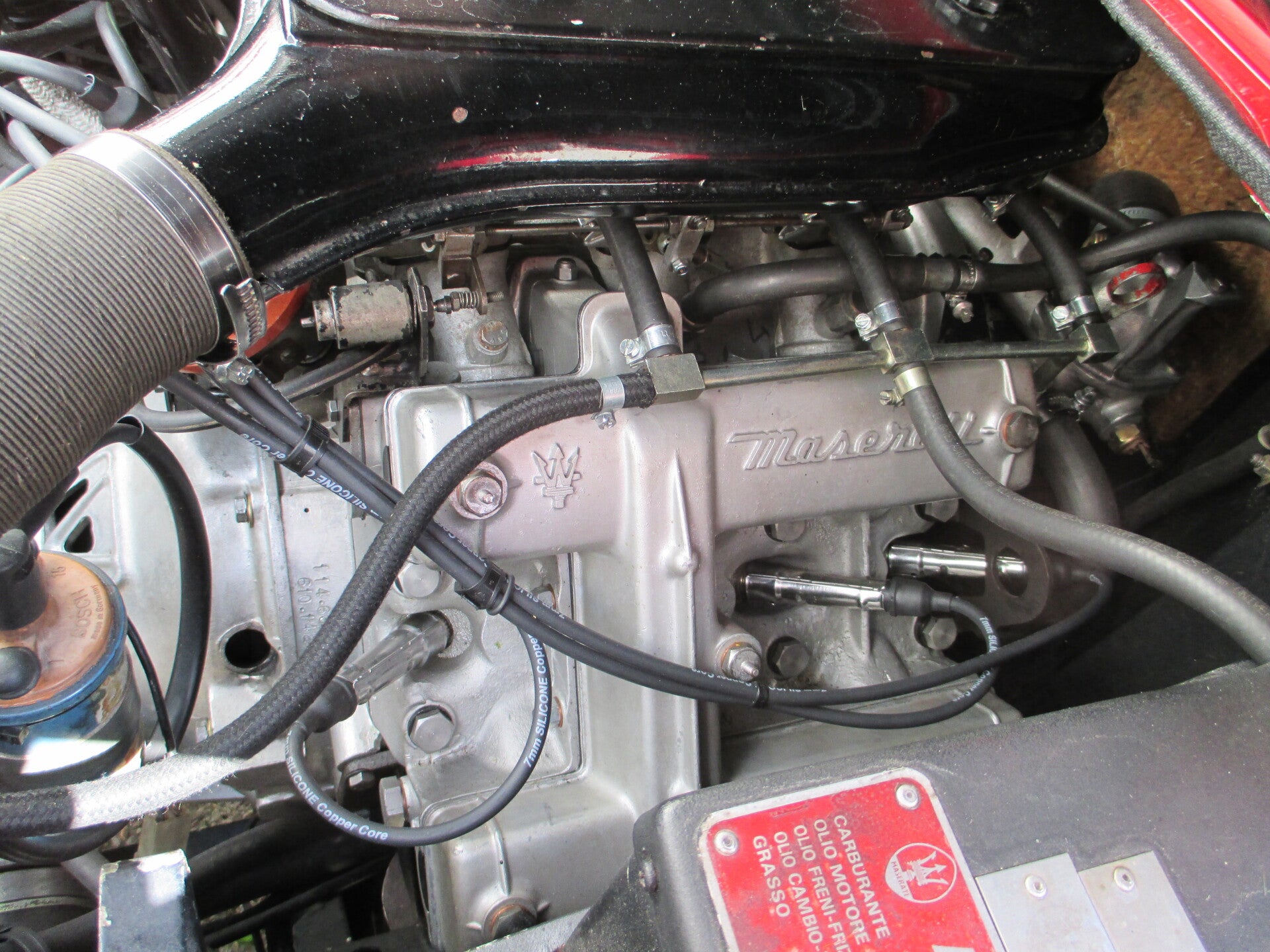 img_1051-standard.jpg