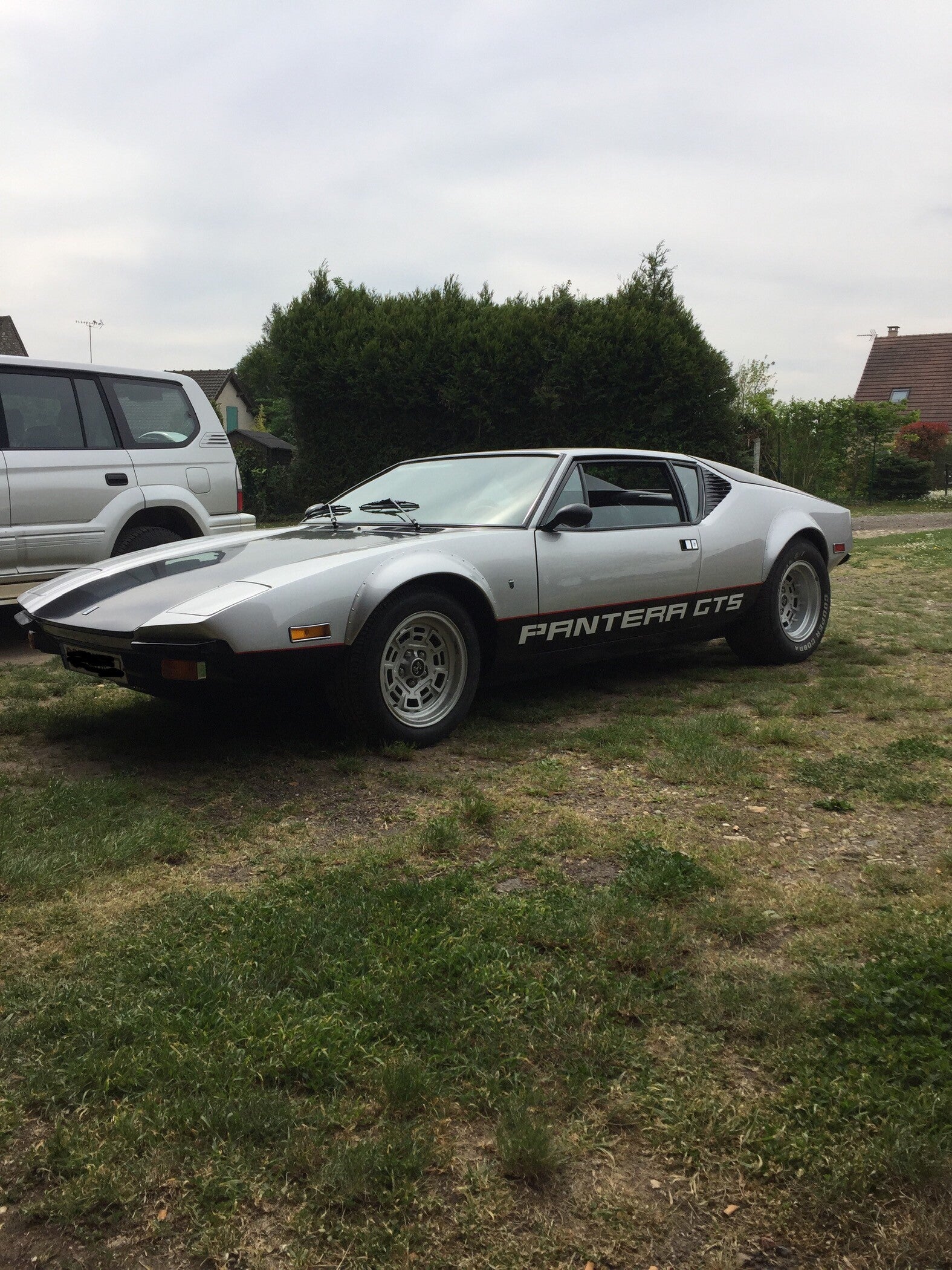 img_2550-standard.jpg