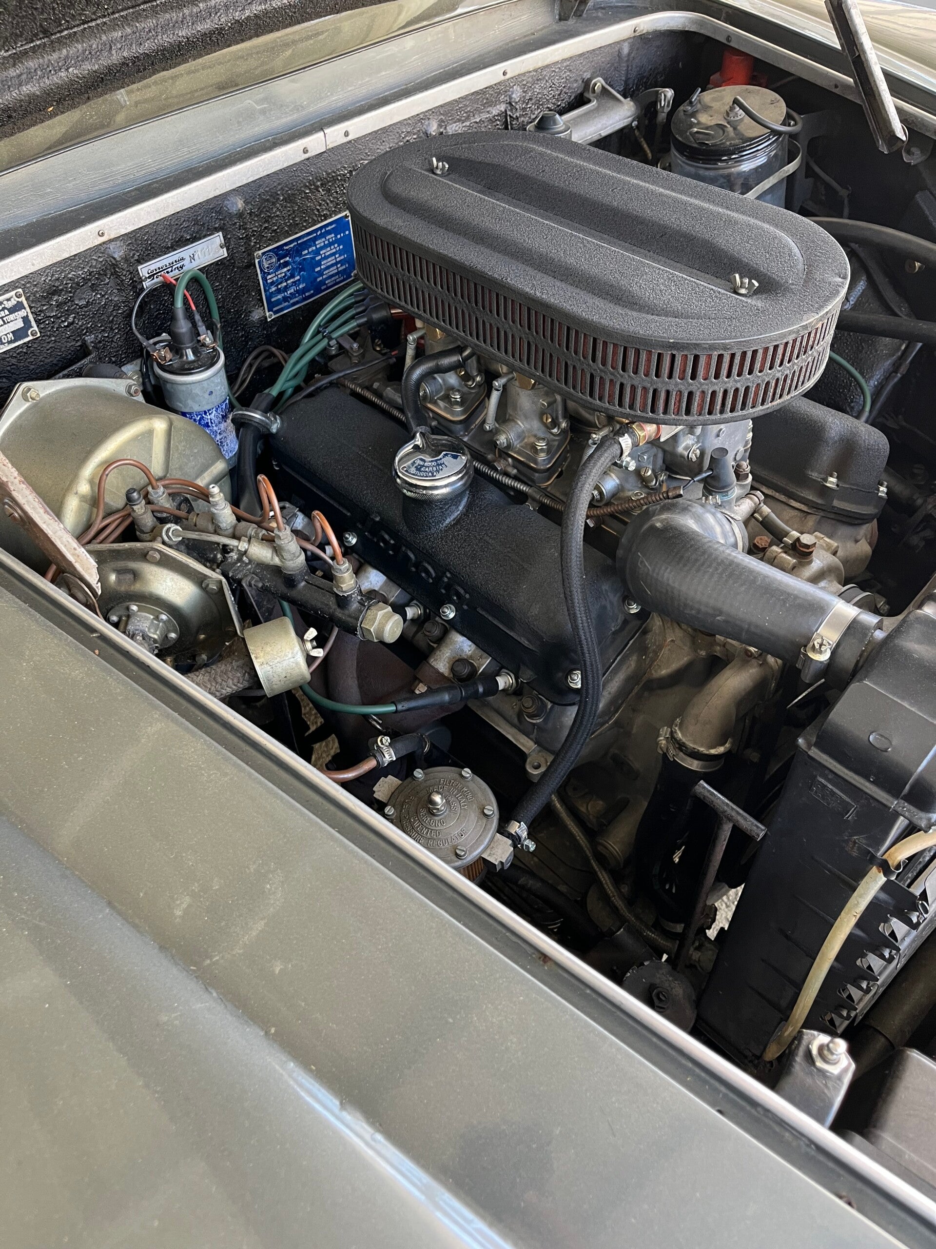 img_6132-standard-9igo6y.jpg