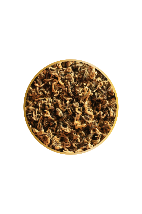 Dragon des Neiges 1 st Grade