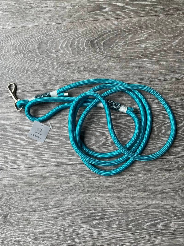 Aqua blauw riem 10 mm PPM 2,5 meter