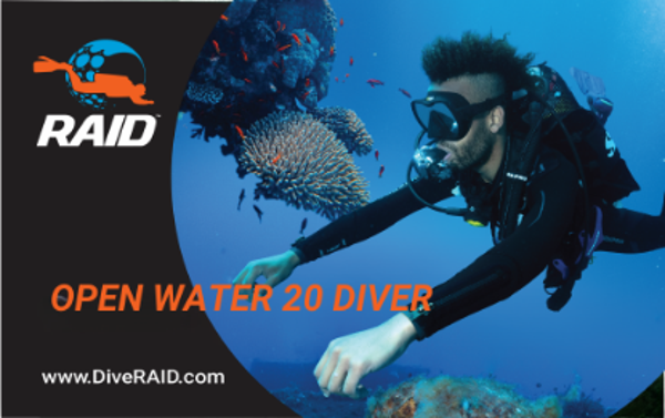 RAID | Open Water 20 Diver (All inclusive!)