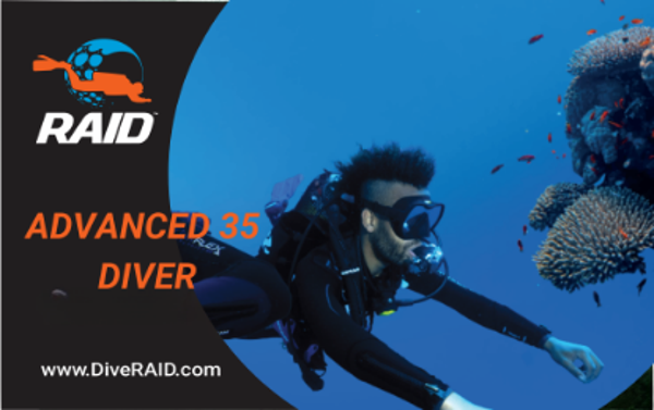 RAID | Advanced 35 Diver (All inclusive!)