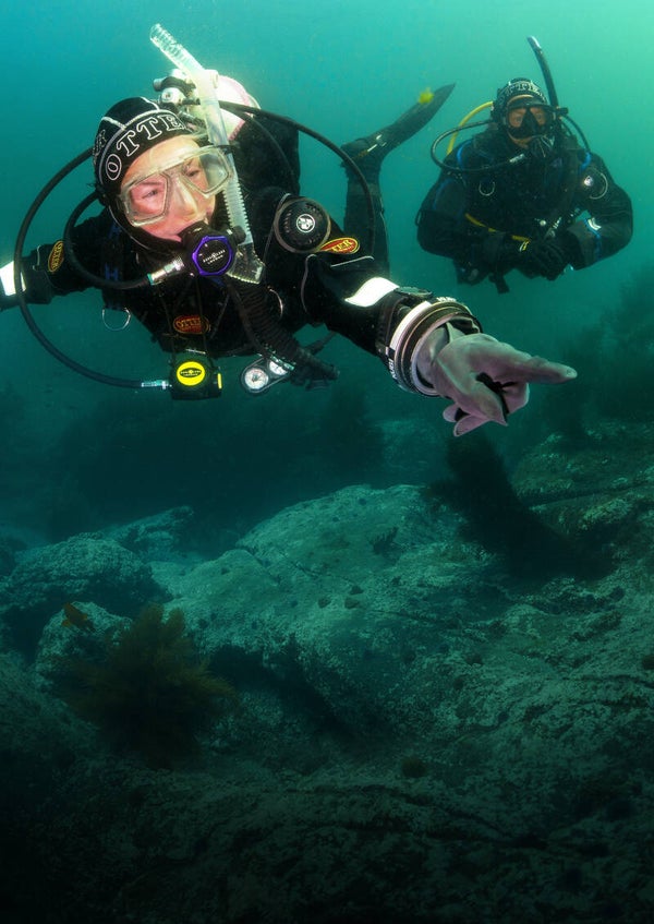 PADI | Drysuit diver