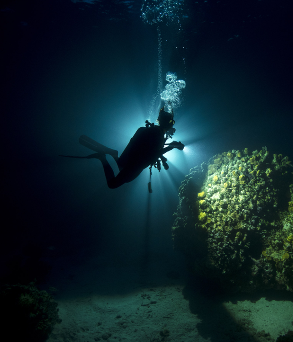 PADI | Night diver