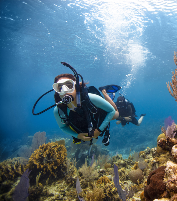 PADI | Open Water Diver (All inclusive!)