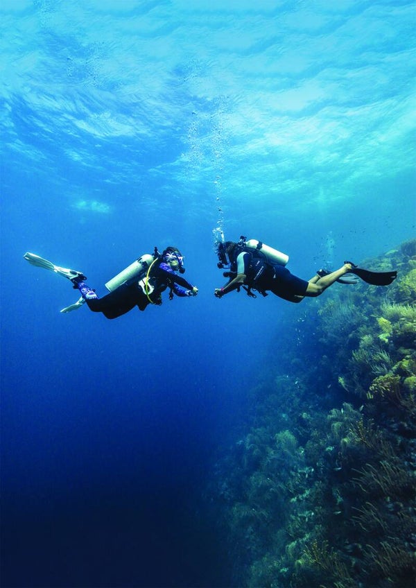 PADI | Peak Performance Buoyancy diver