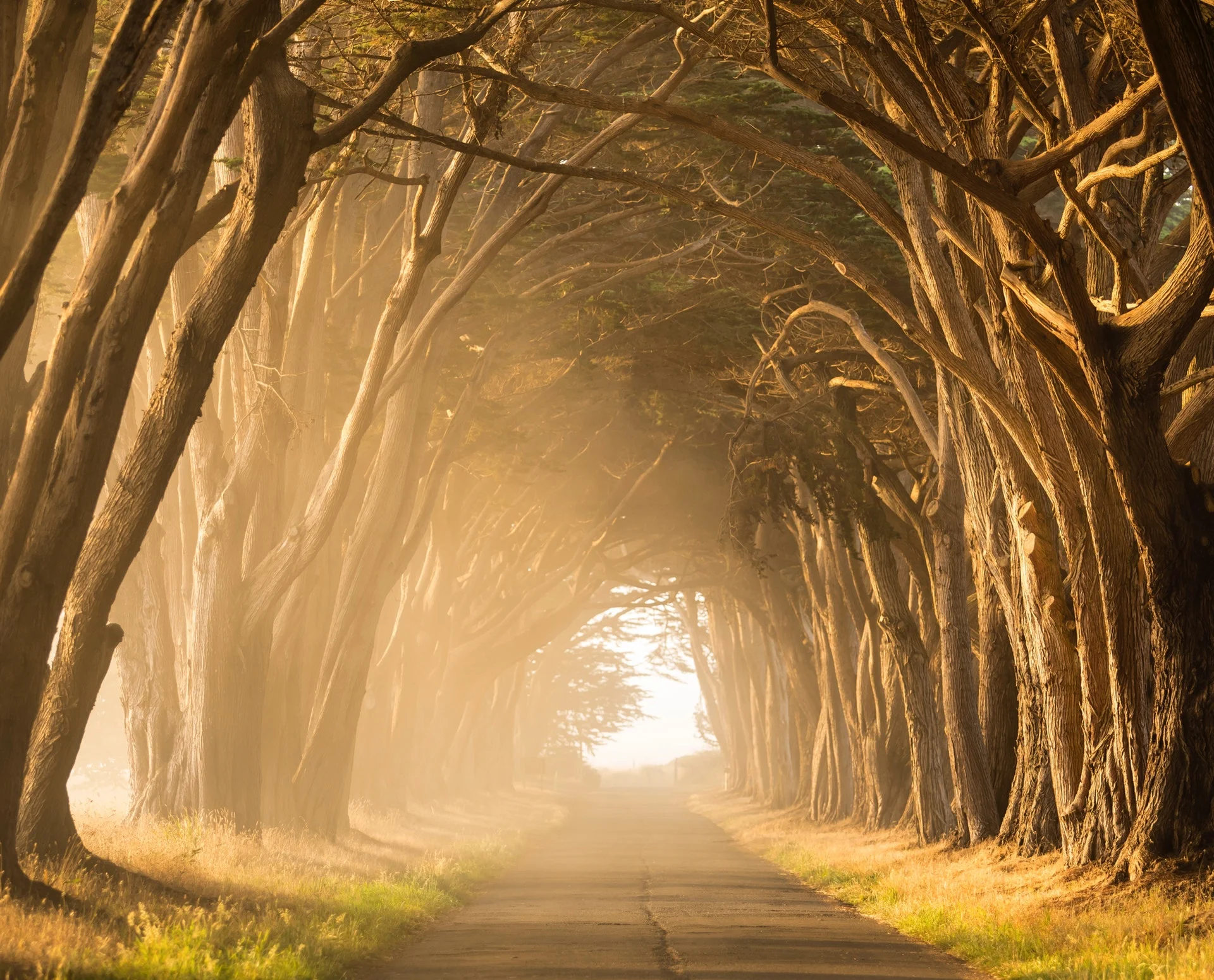 Image representing addiction recovery and personal transformation  through hypnotherapy