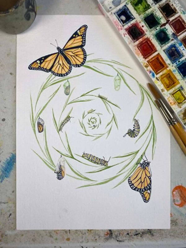 MONARCH LIFE CYCLE WATERCOLOUR GICLEE PRINT