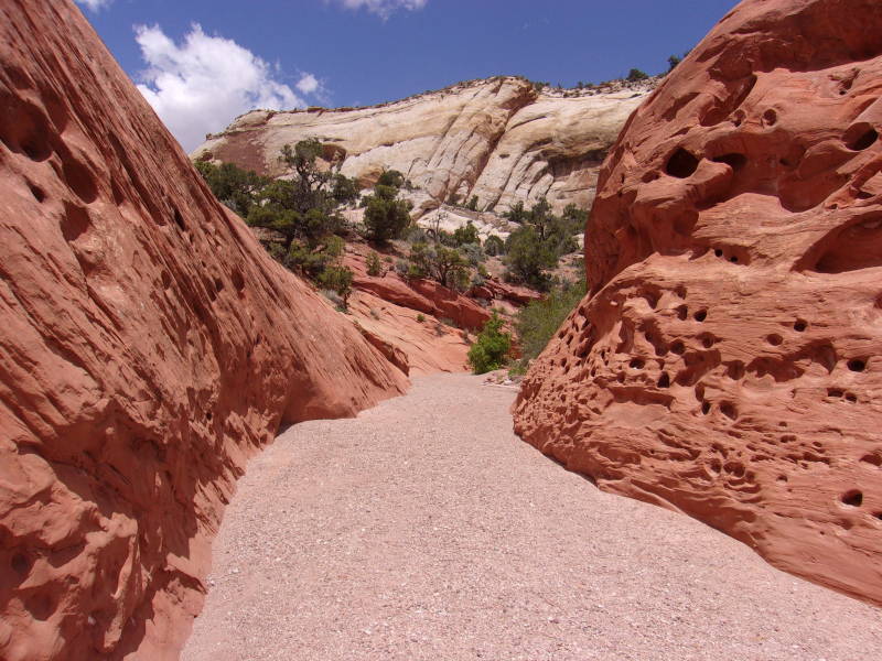 Upper Muley Twist, canyon en arches