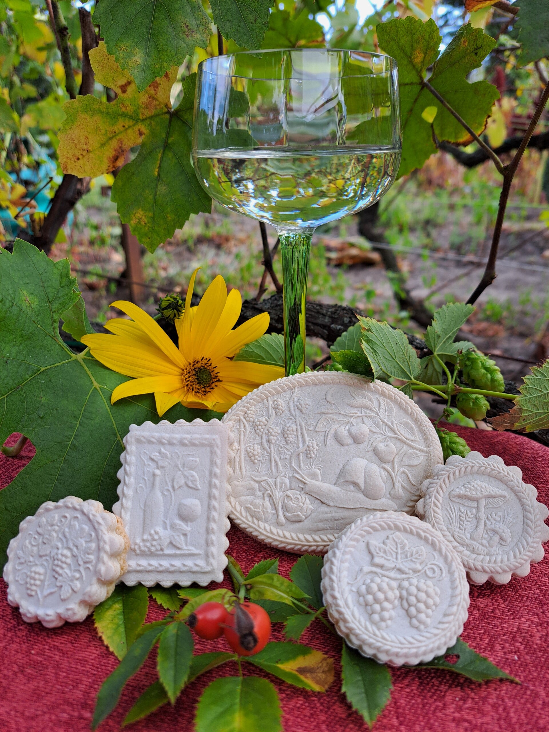 Kunstvoll geprägte Springerle mit Glas Weißwein und Reben im Weinberg von Radebeul – ein Stück regionale Genusskultur zum Verkosten und Verschenken.