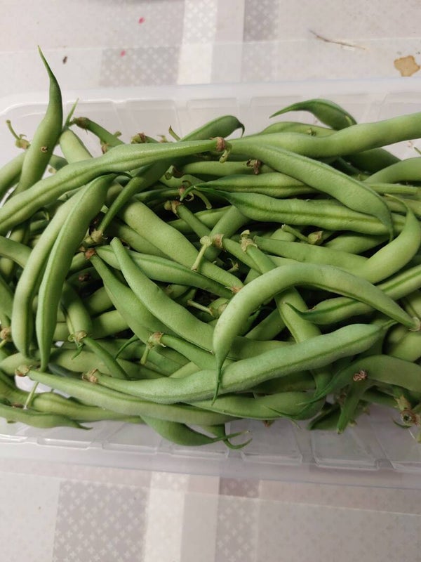 Bonen geel groen