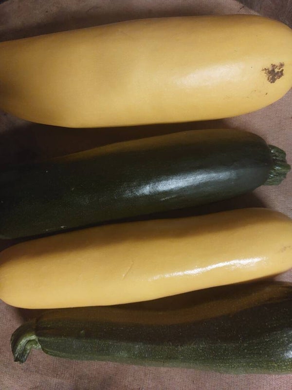 courgettes