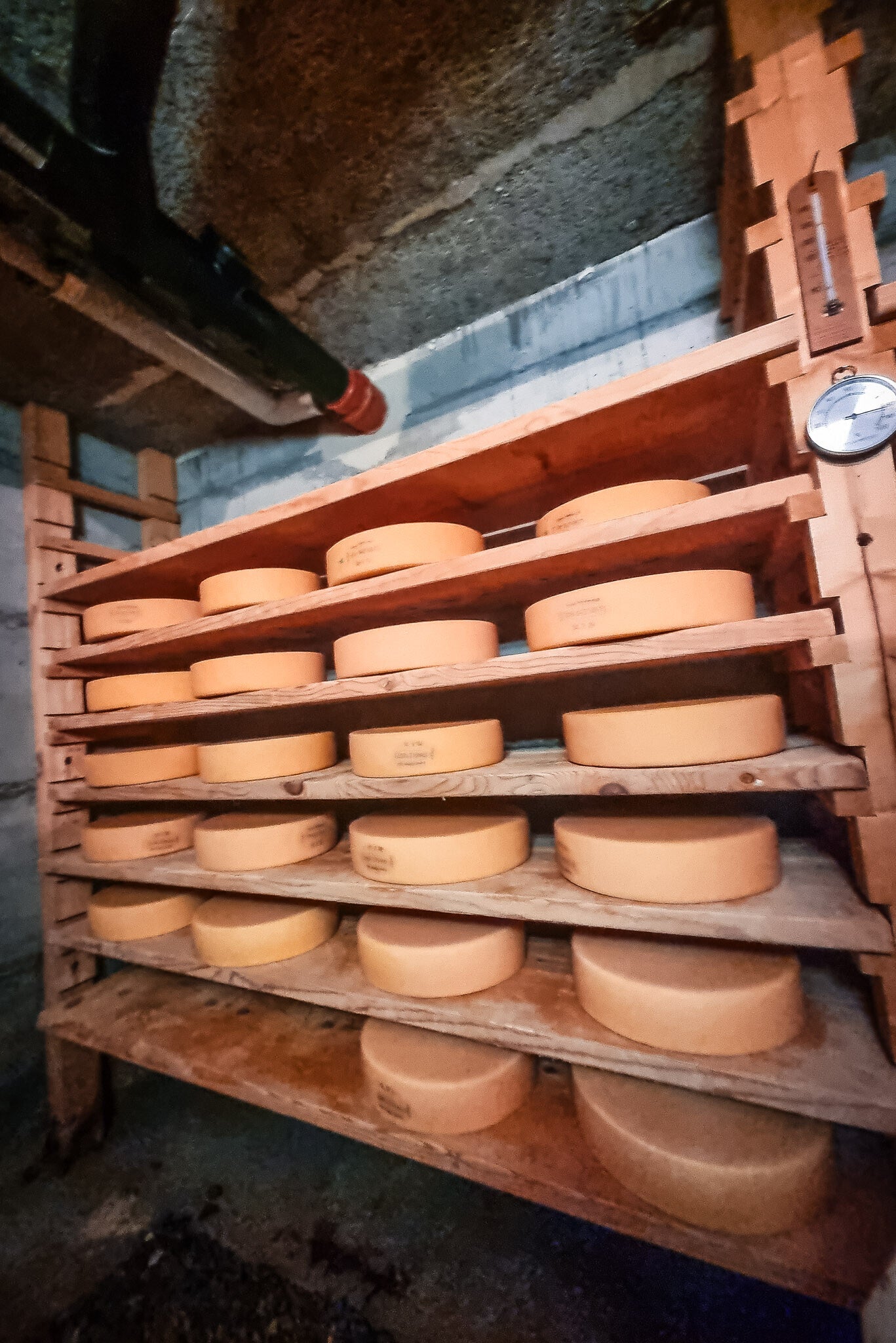 Berner Alpkäse AOP 2025