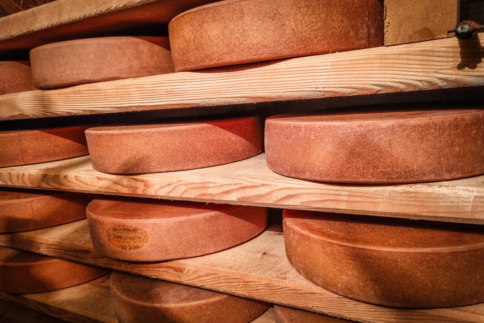 Berner Hobelkäse AOP