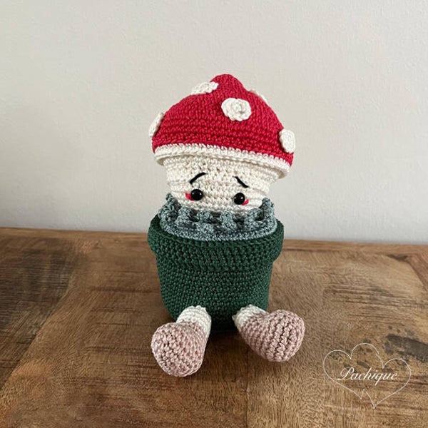 Pachique Plant (0001)