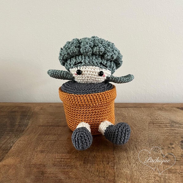 Pachique Plant (0002)