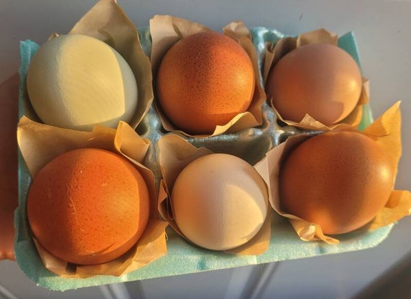 No longer Available! Hatching eggs
