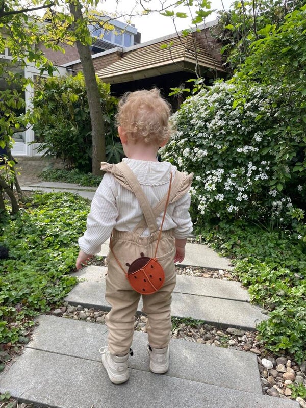 Handtas lieveheersbeestje