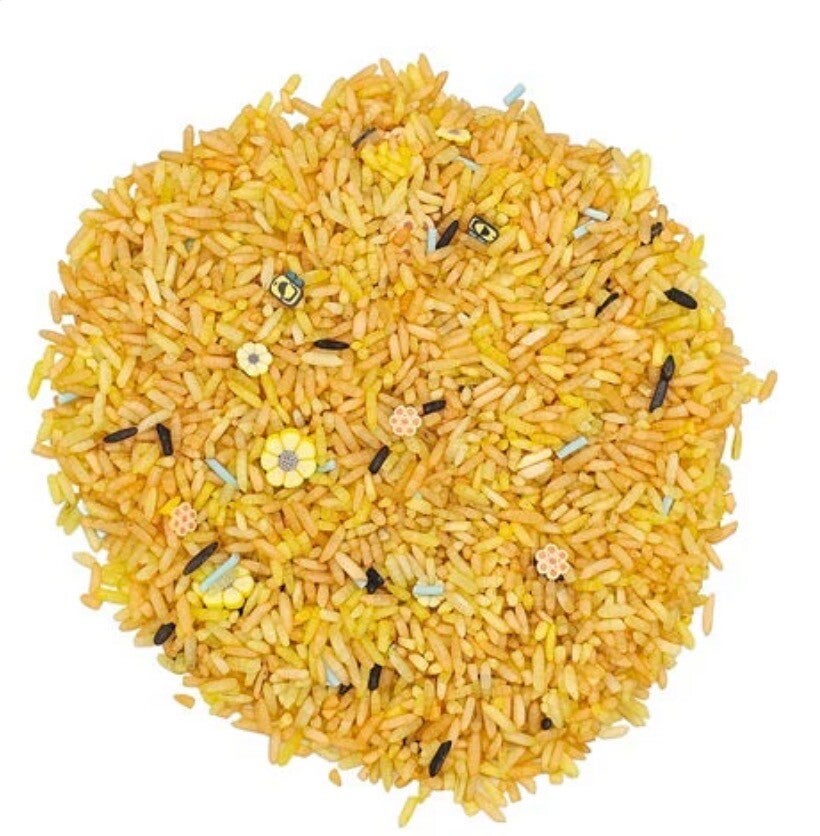 Grennn speelrijst bijen