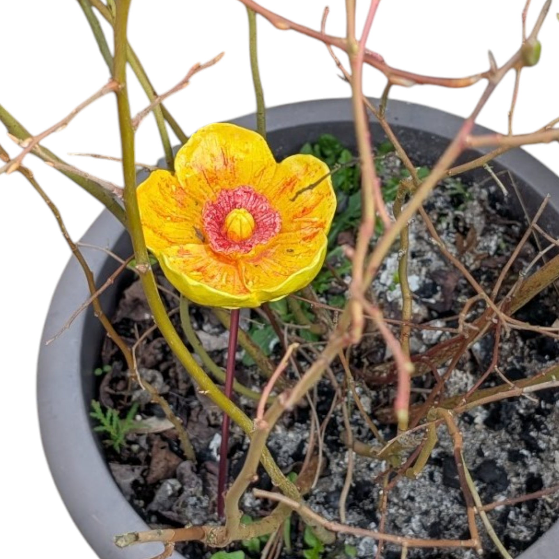 Insektentränke Blume mit Aluminumstab (grün)