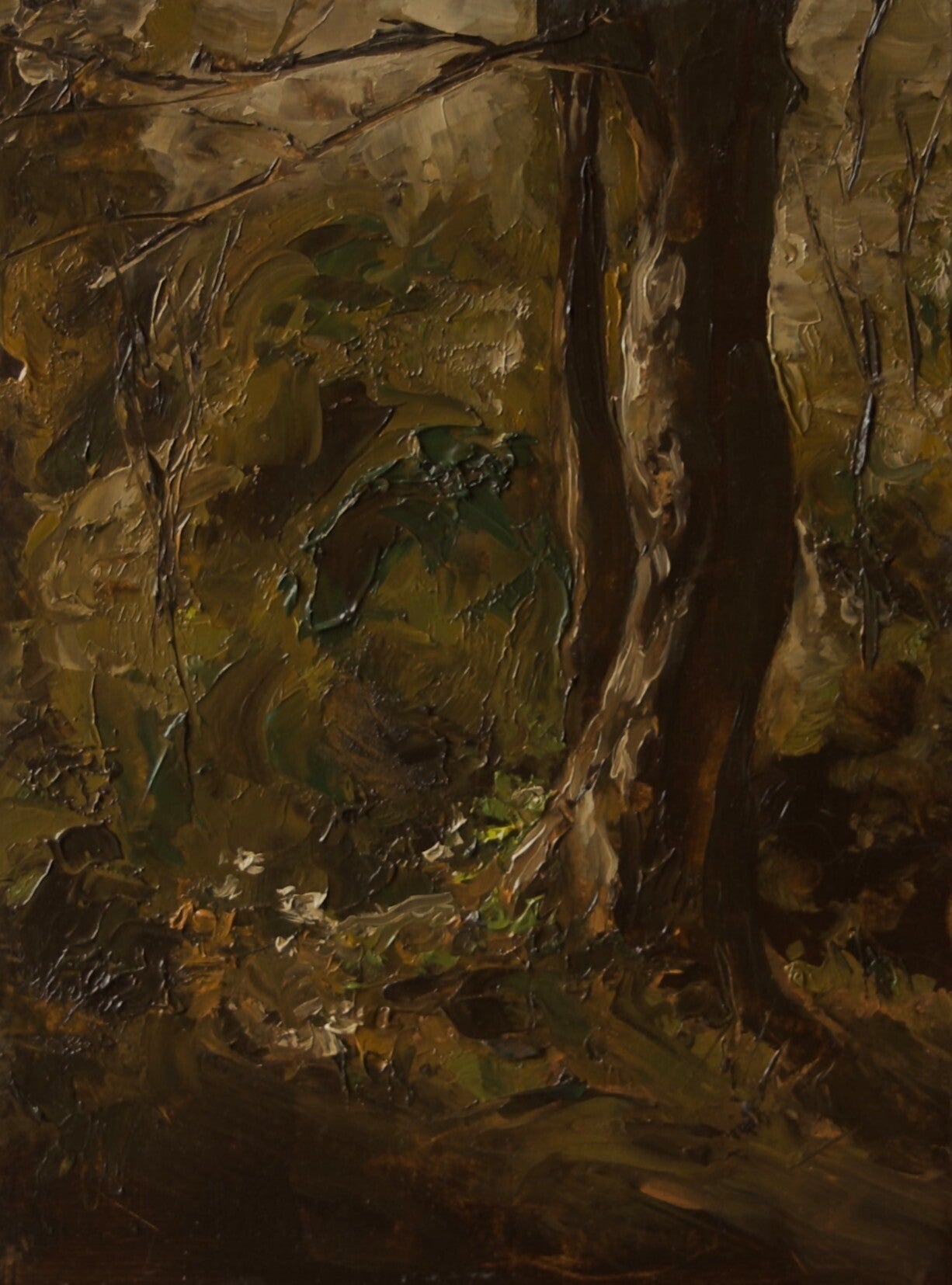 Tree Trunk