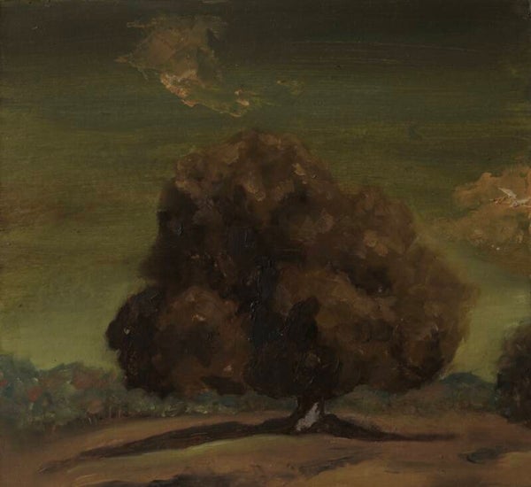 Little tree (2)