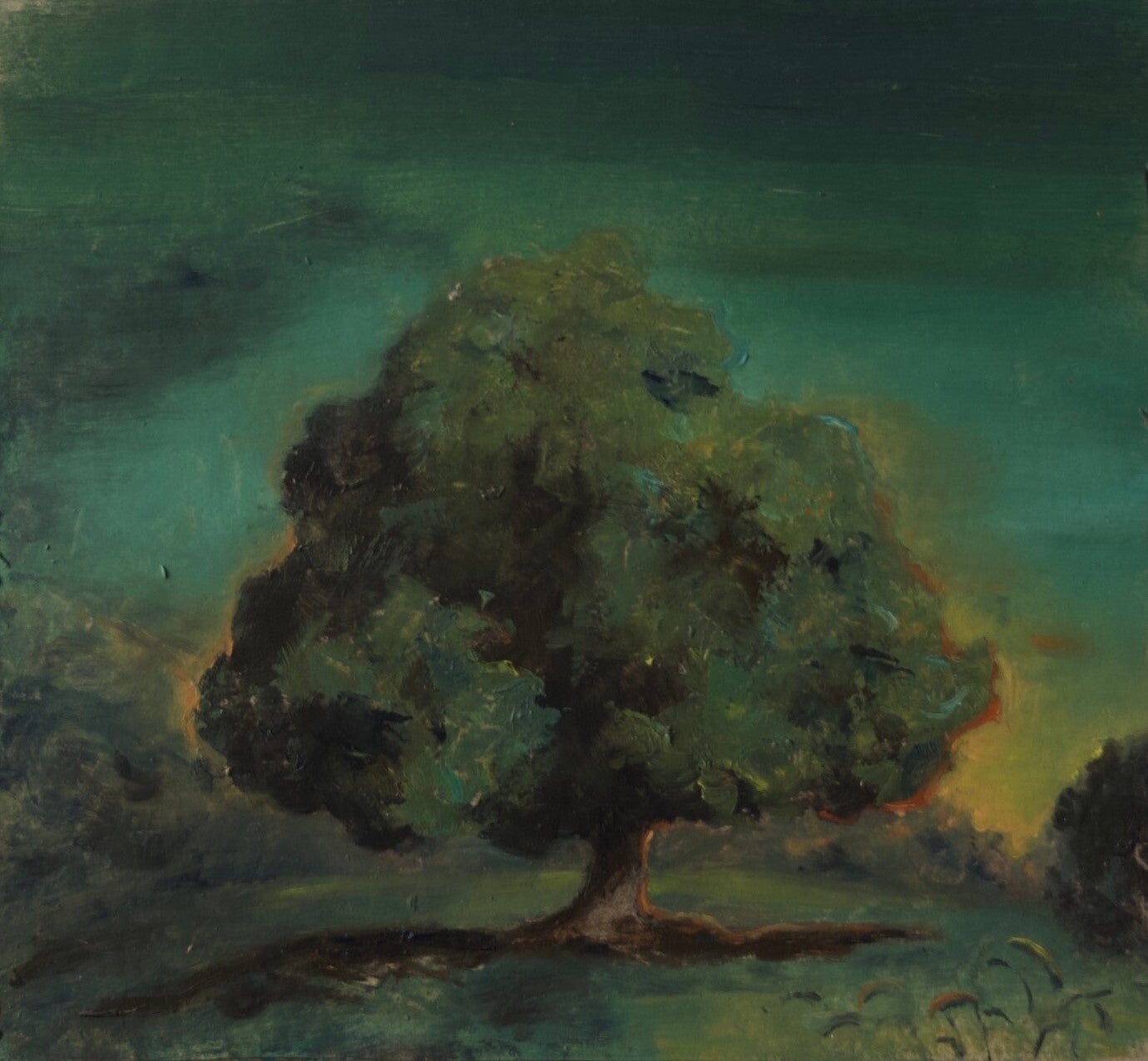 Little tree (1)