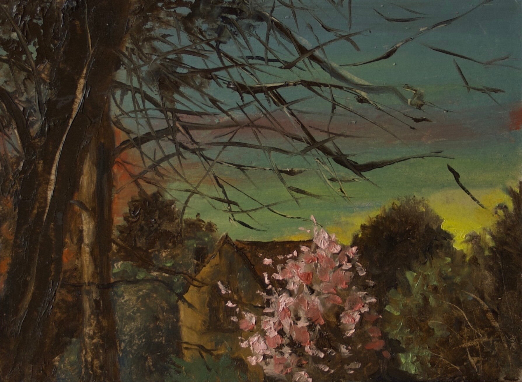 The cherry tree