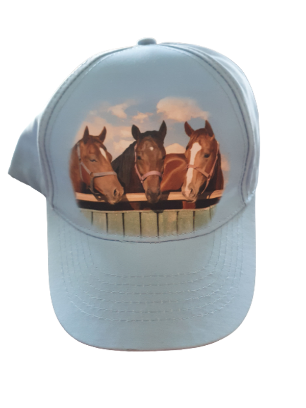 Paarden Pet lichtblauw