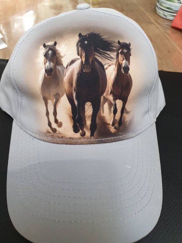 Paarden pet grijs