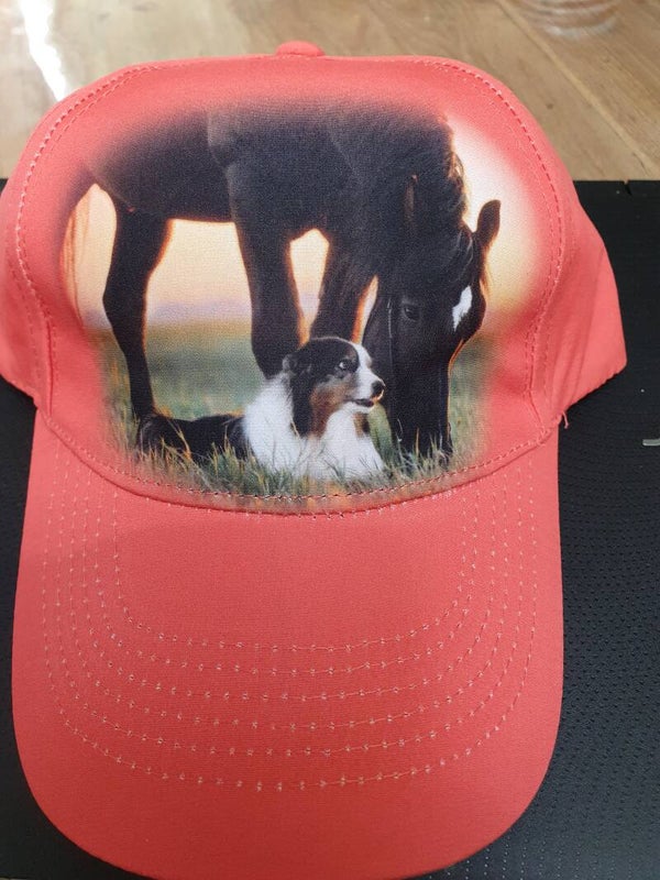 Paarden pet rood