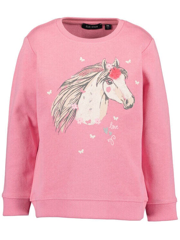 Paarden sweater