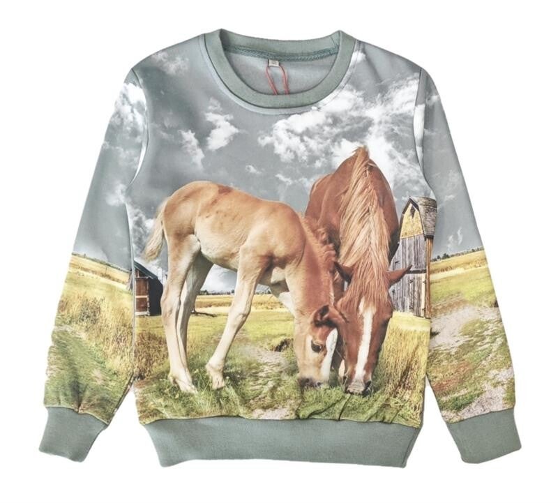 Paarden sweater groen