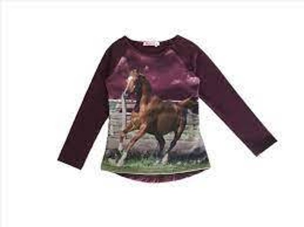 Paarden longsleeves paars