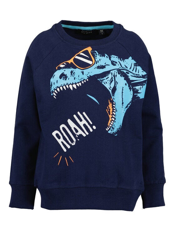 Dino Sweater