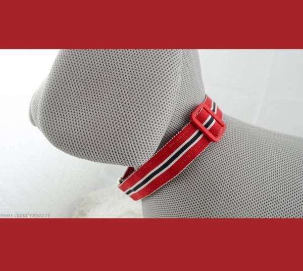 Martingale halsband 25 mm breed rood_zwart_wit