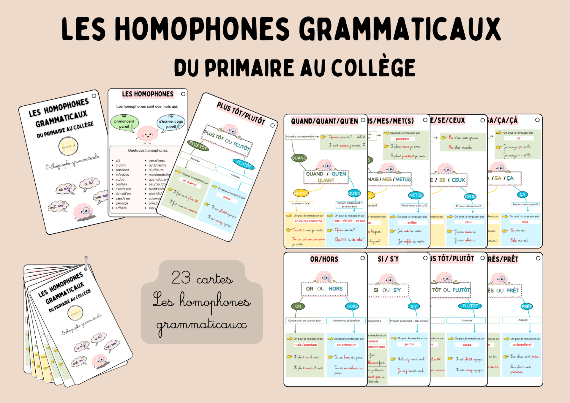 Les homophones grammaticaux