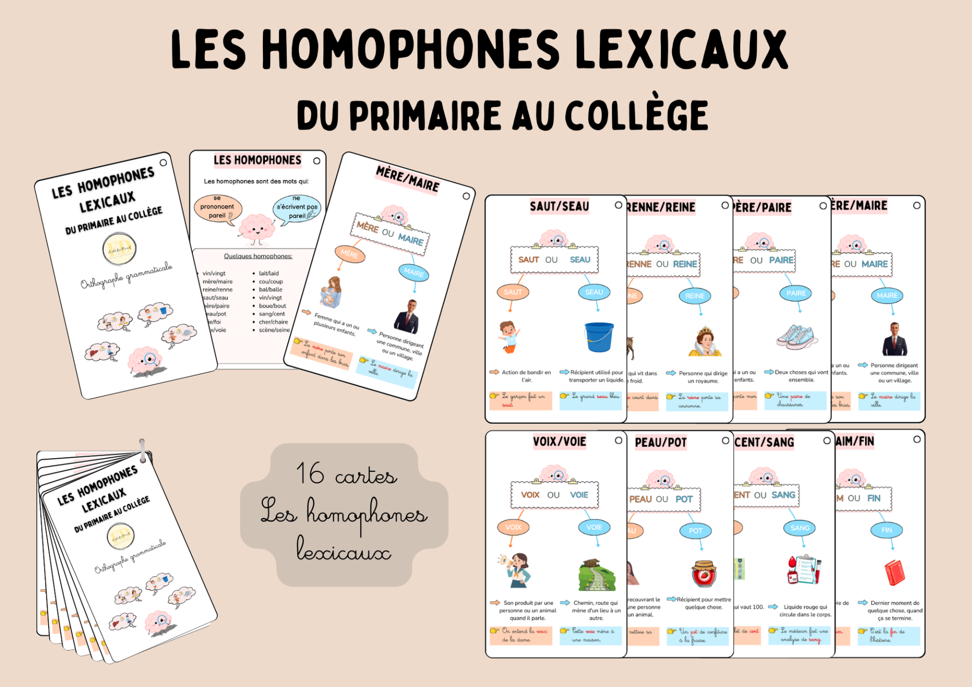 Les homophones lexicaux