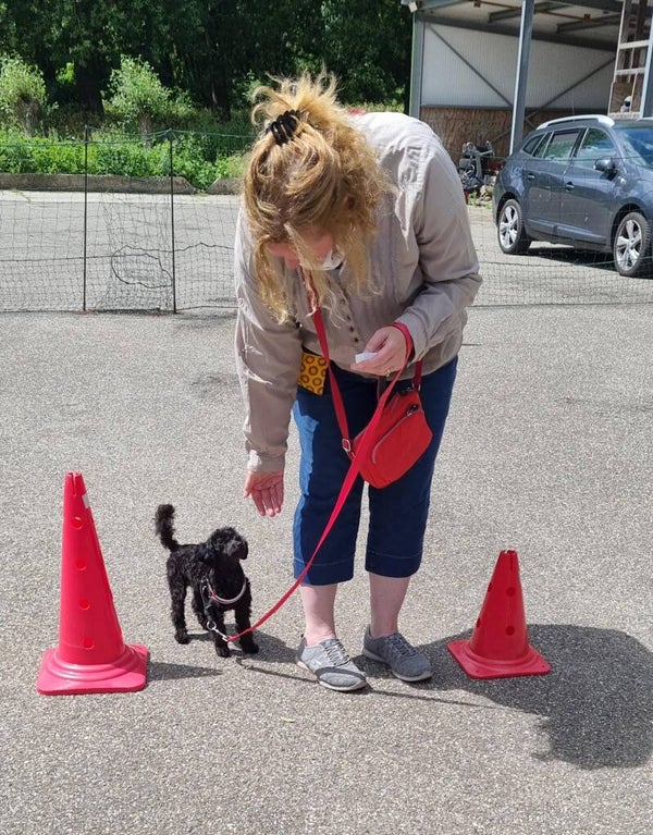 Strippenkaart 5 privélessen 45 minuten