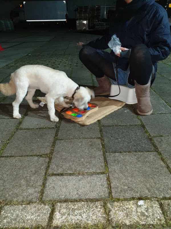 Privélessen 3 lessen van een uur)